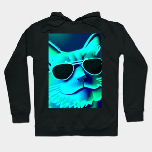 Cat with Sunglasses Hoodie